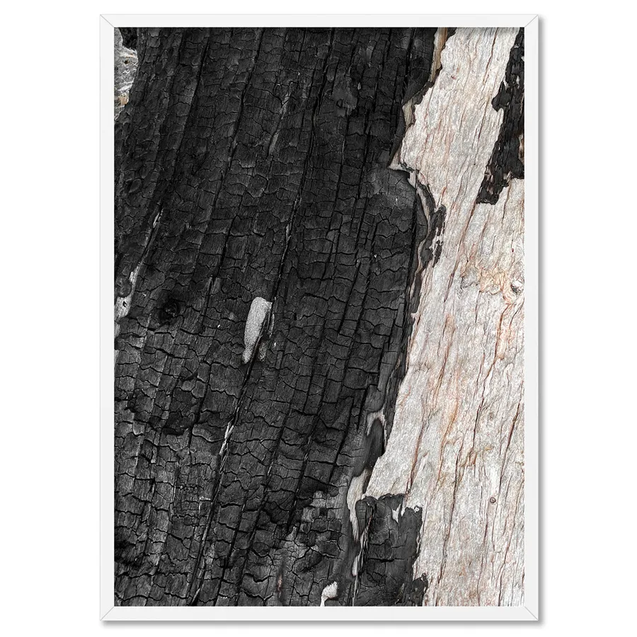 Gumtree | Charred Eucalypt III - Art Print