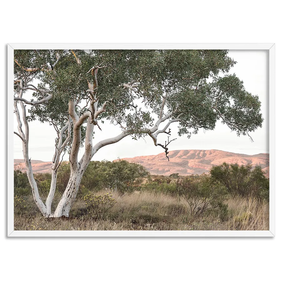 Gumtree Outback Landscape I - Art Print