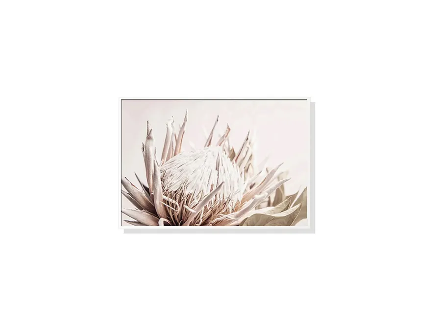 Protea Wall Art Canvas 4 sizes available 50cm x 70cm