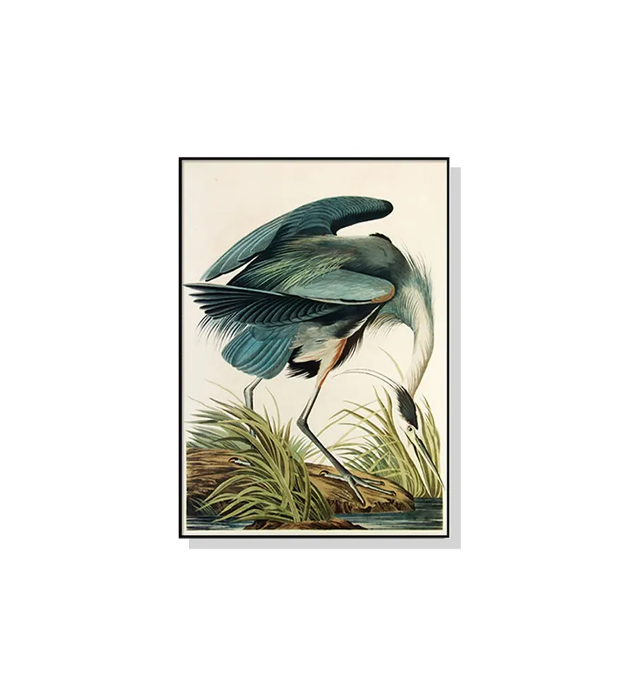Great Blue Heron By John James Audubon Wall Art Canvas 4 sizes available 70cm x 50cm