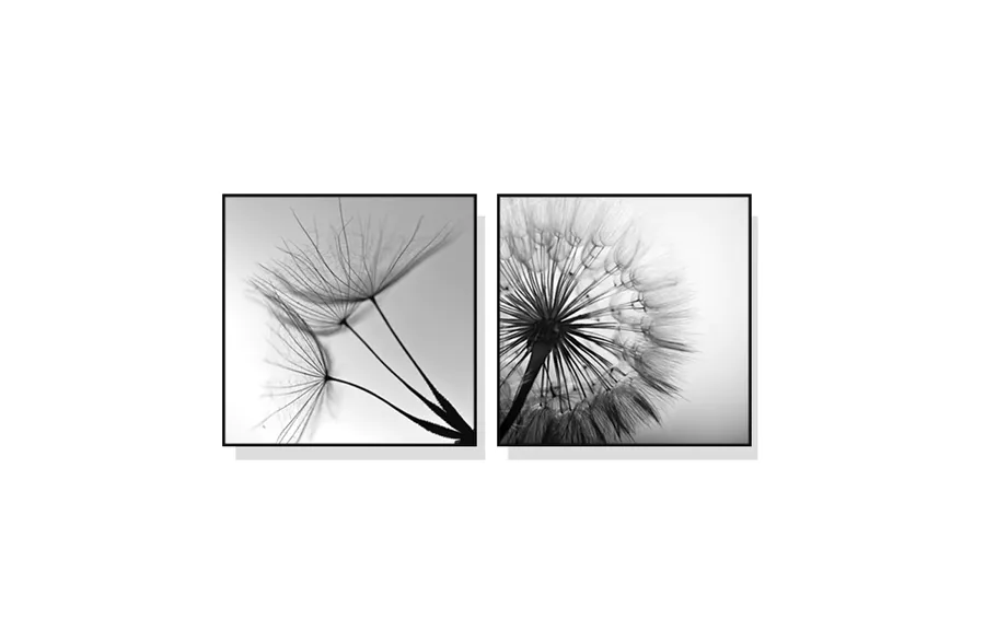 Set of 2 Dandelion Wall Art Canvas 3 sizes available 50cm x 50cm