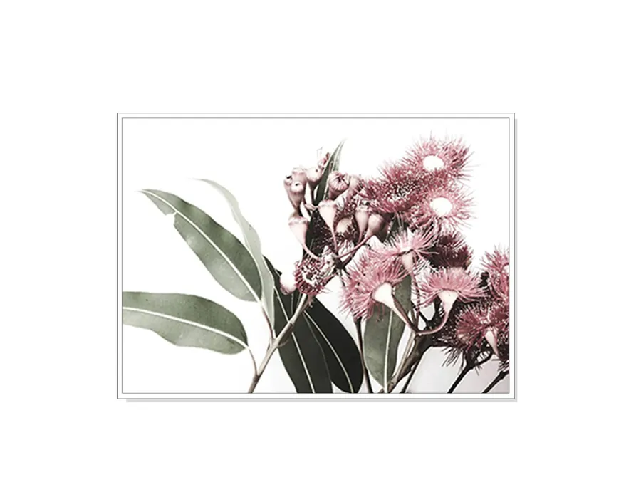 Blooming Eucalyptus Wall Art Canvas 3 sizes available 50cm x 70cm