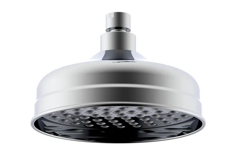 Eternal Shower Rose Chrome