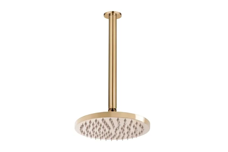 Bloom Shower Rose & Dropper Brushed Brass