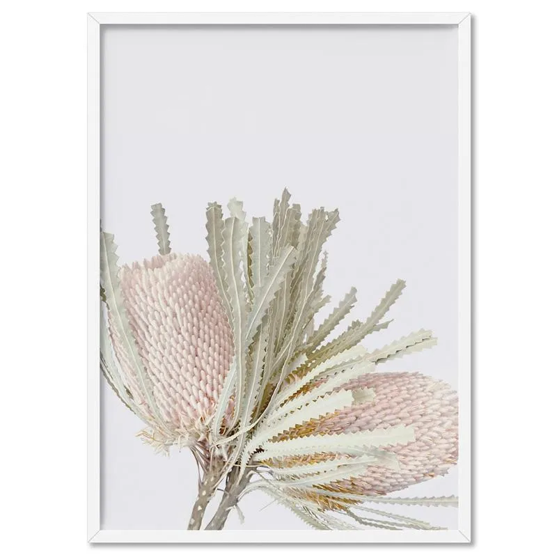Pastel Banksias Blush II - Art Print