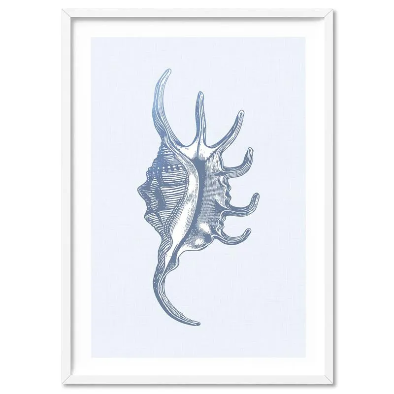 Sea Shells in Blue | Spider Conch - Art Print