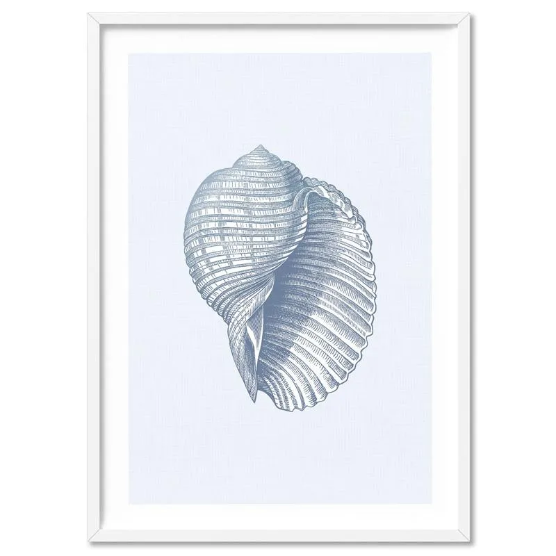 Sea Shells in Blue | Scotch Bonnet - Art Print