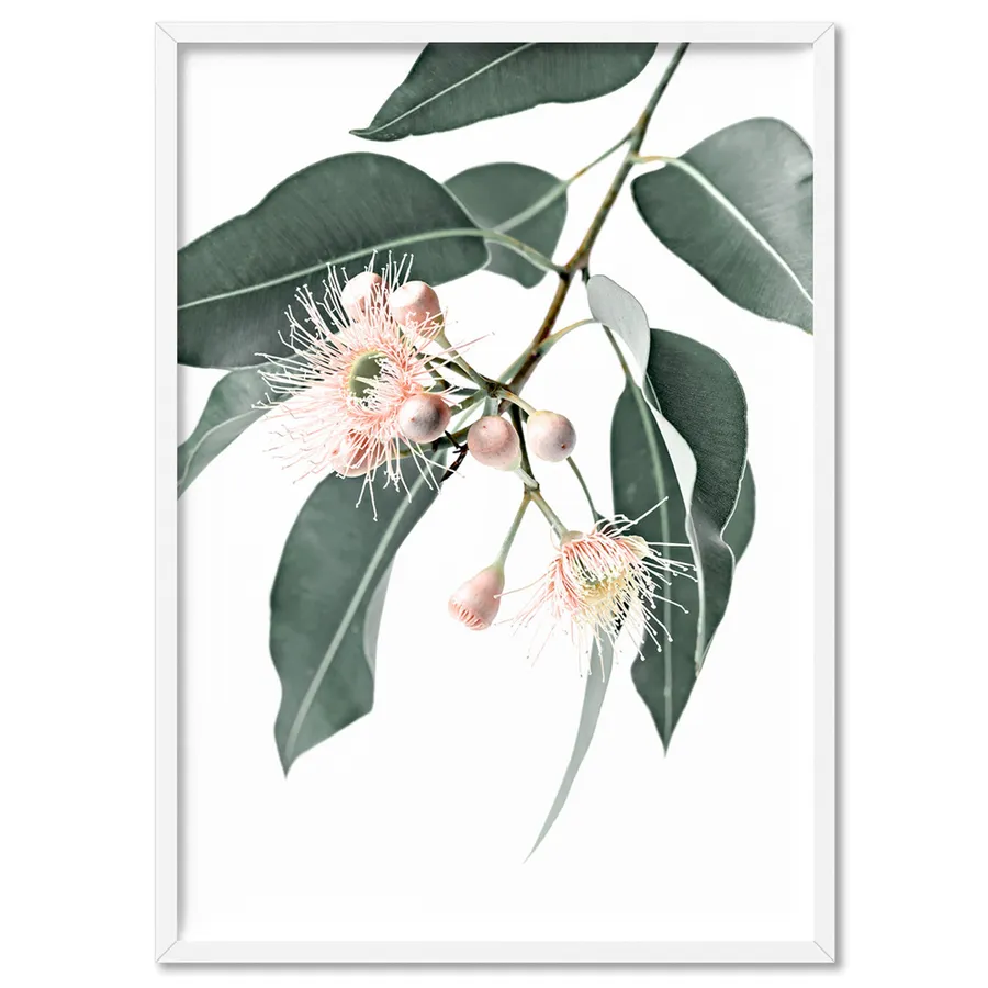 Flowering Eucalyptus in Blush - Art Print