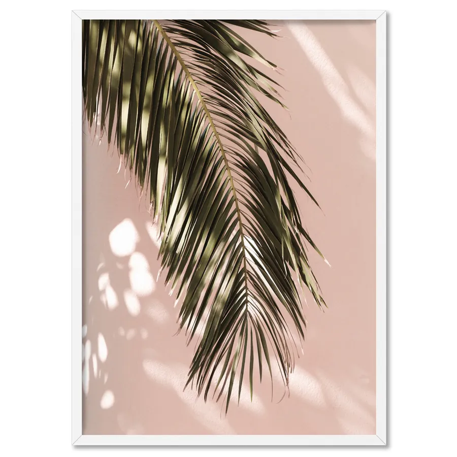 Desert Palm Frond in Afternoon Light - Art Print