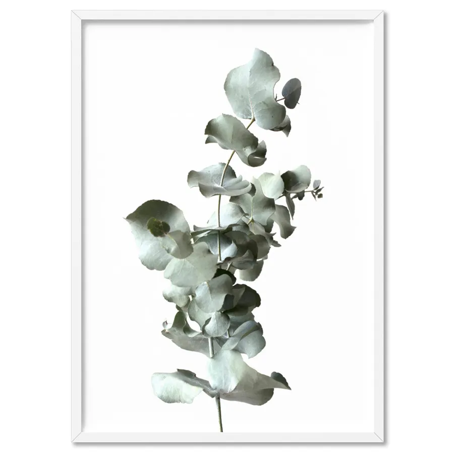 Eucalyptus Gum Leaves III  - Art Print