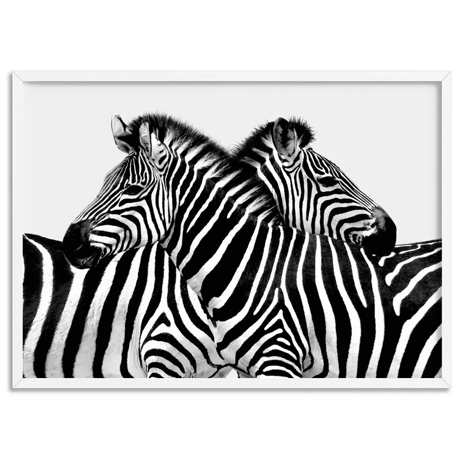 Zebra Embrace - Art Print