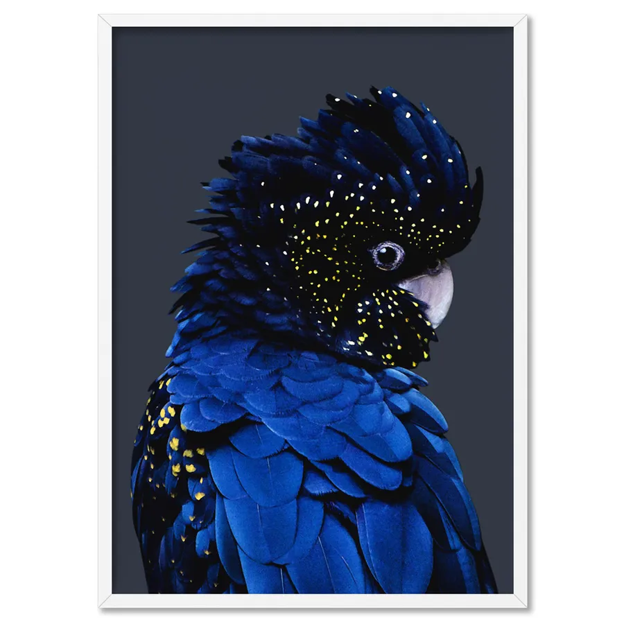Black Cockatoo (indigo tones) - Art Print