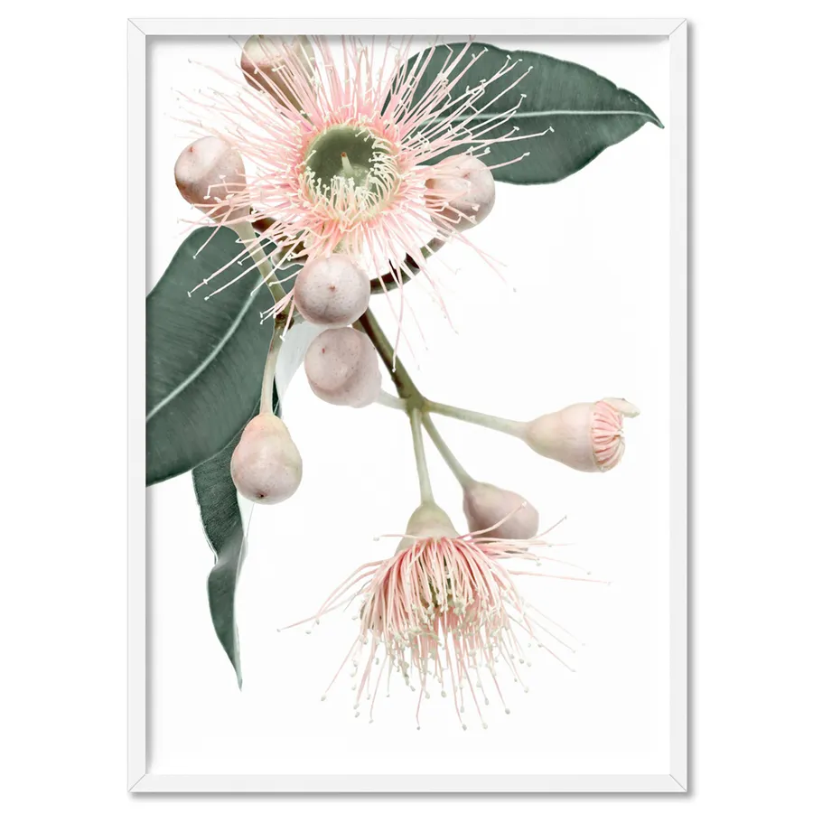 Flowering Eucalyptus in Blush II - Art Print