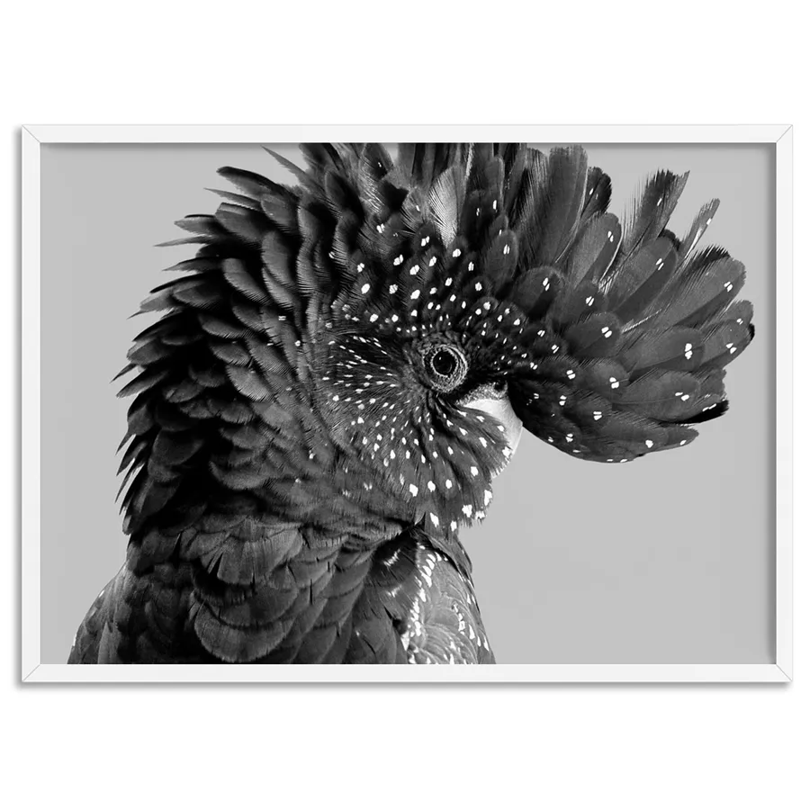Black Cockatoo Pose Landscape, in Black & White - Art Print