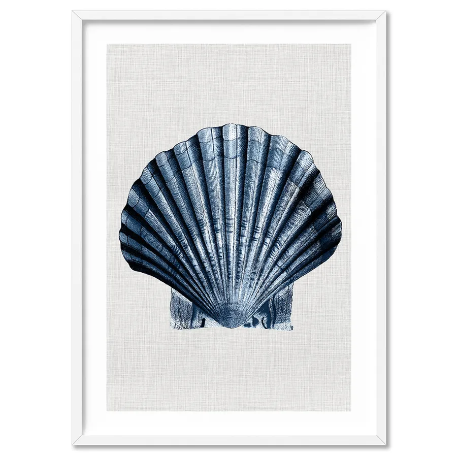 Sea Shells in Navy | Sea Scallop - Art Print