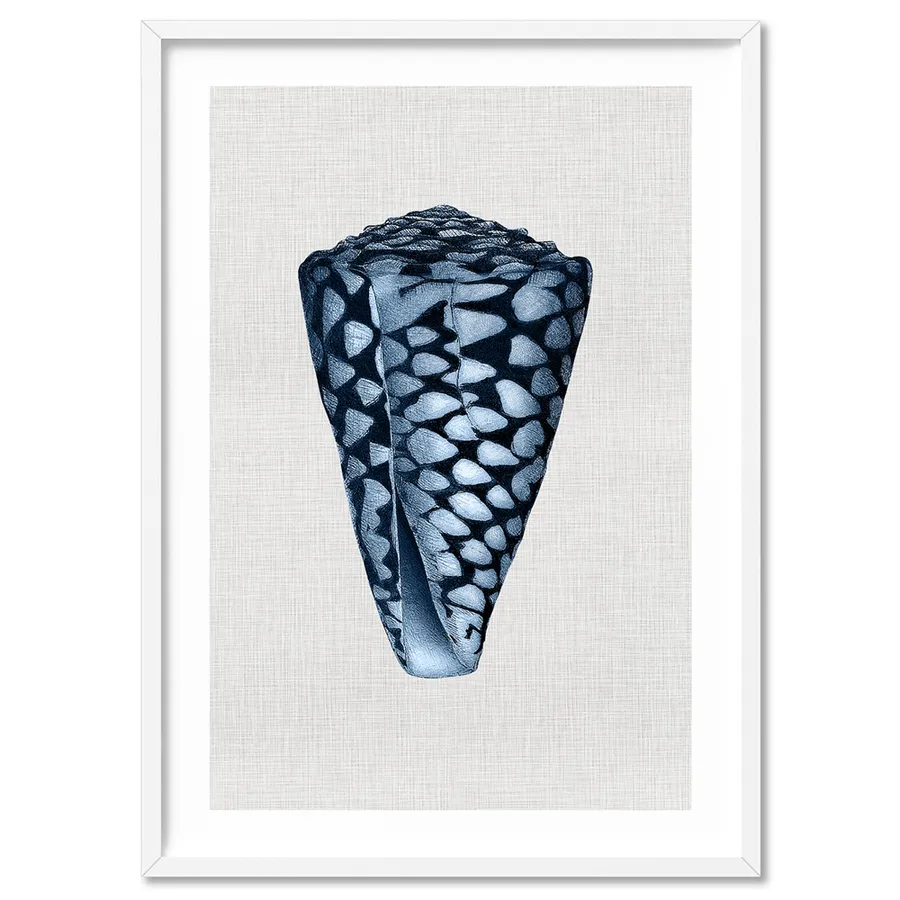 Sea Shells in Navy | Conus Shell - Art Print