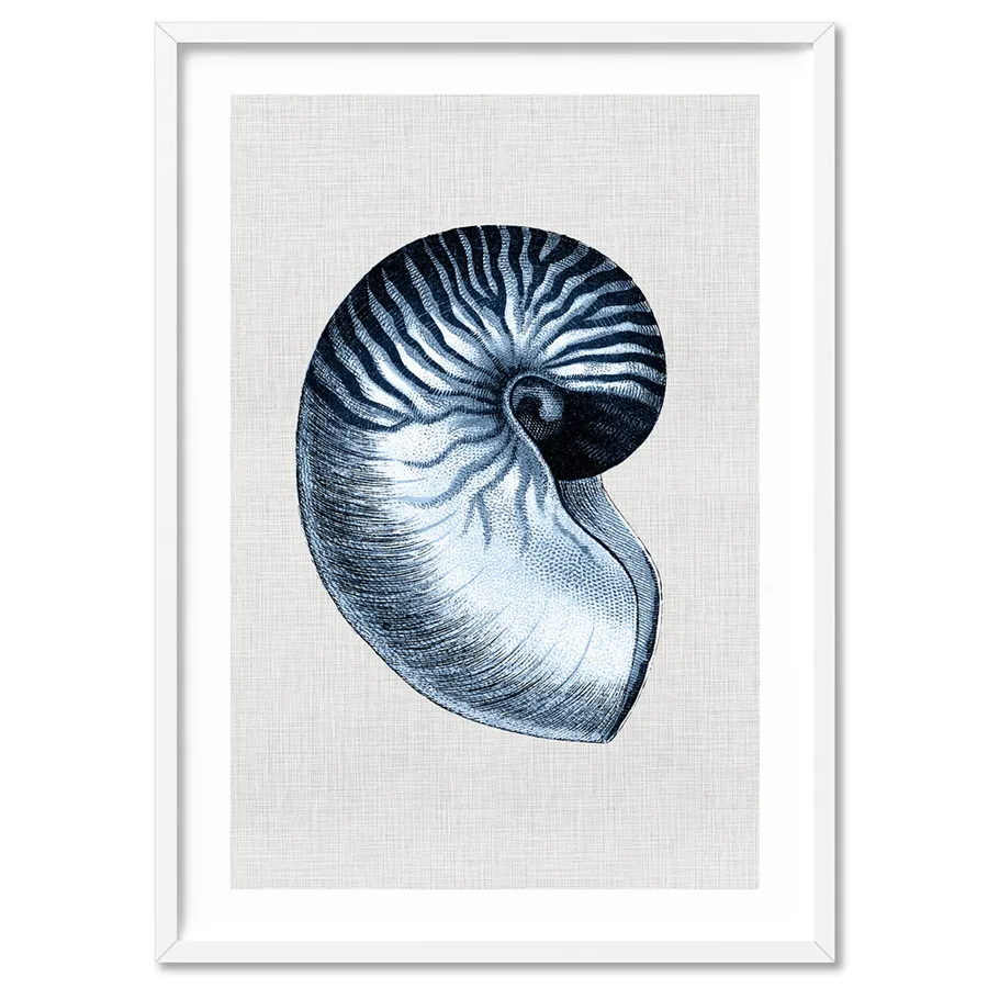 Sea Shells in Navy | Nautilus Shell - Art Print