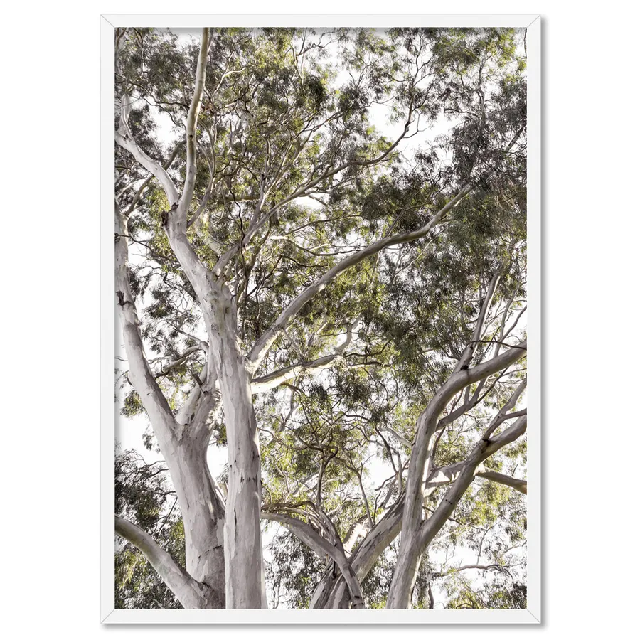 Gumtrees View I - Art Print