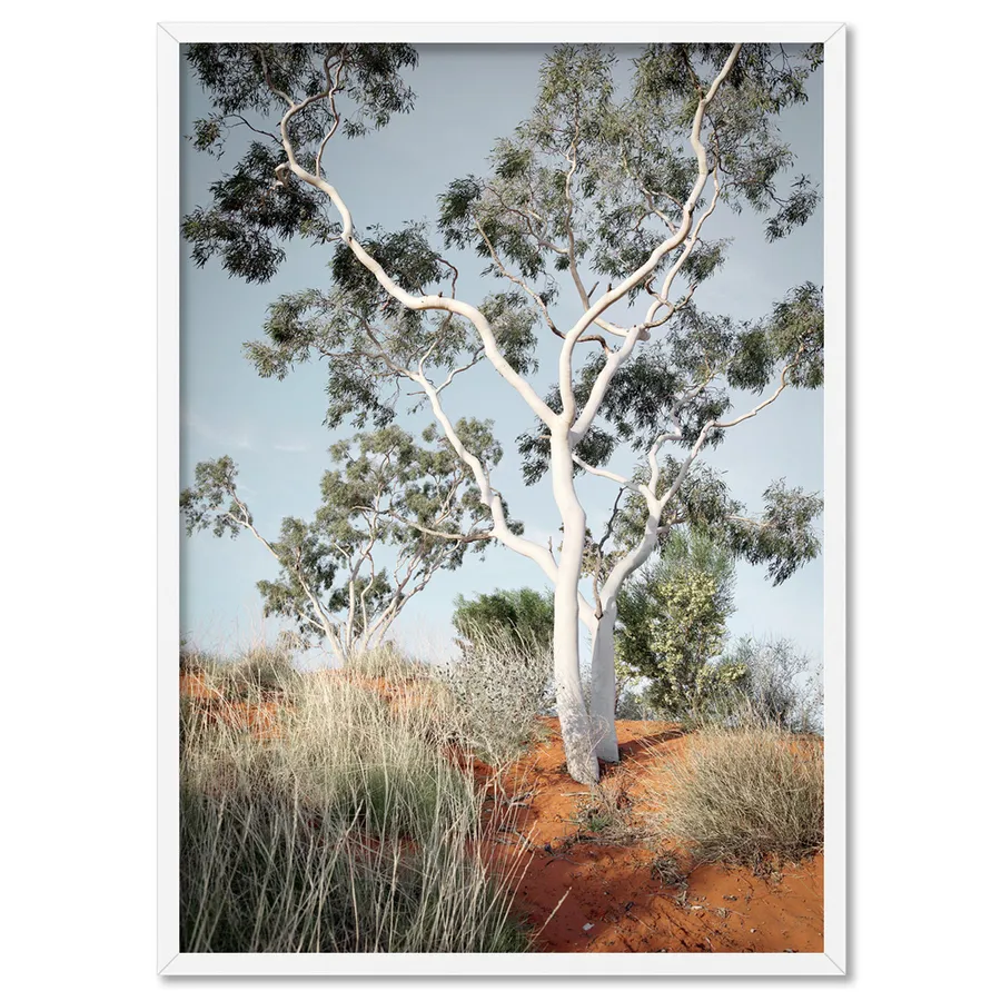Ghost Gum on Red Earth - Art Print