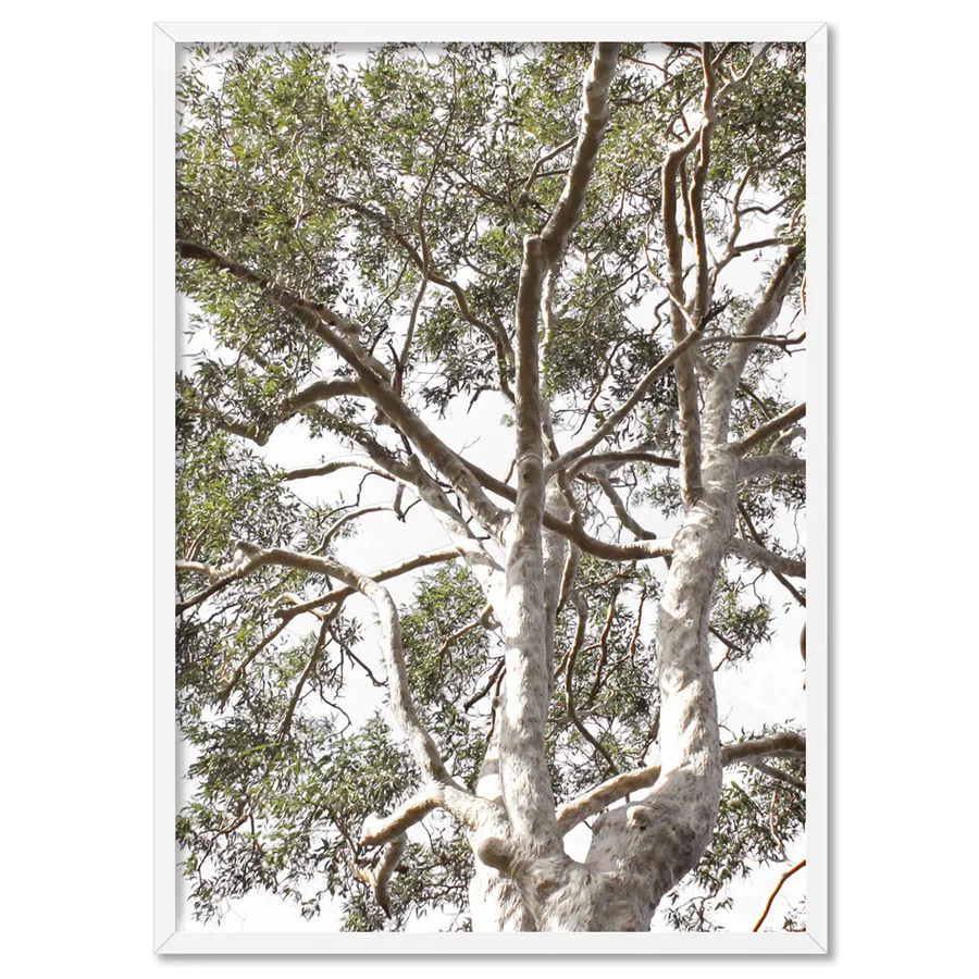Gumtrees View II - Art Print