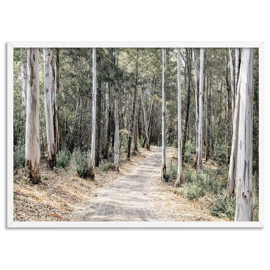 Into the Gumtrees - Art Print