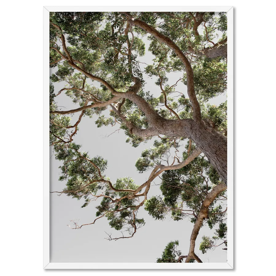 Majestic Gum I - Art Print
