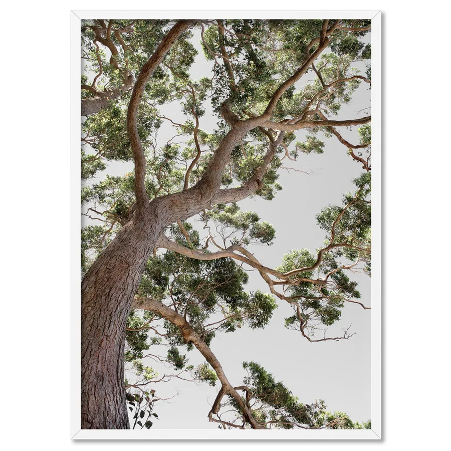 Majestic Gum II - Art Print