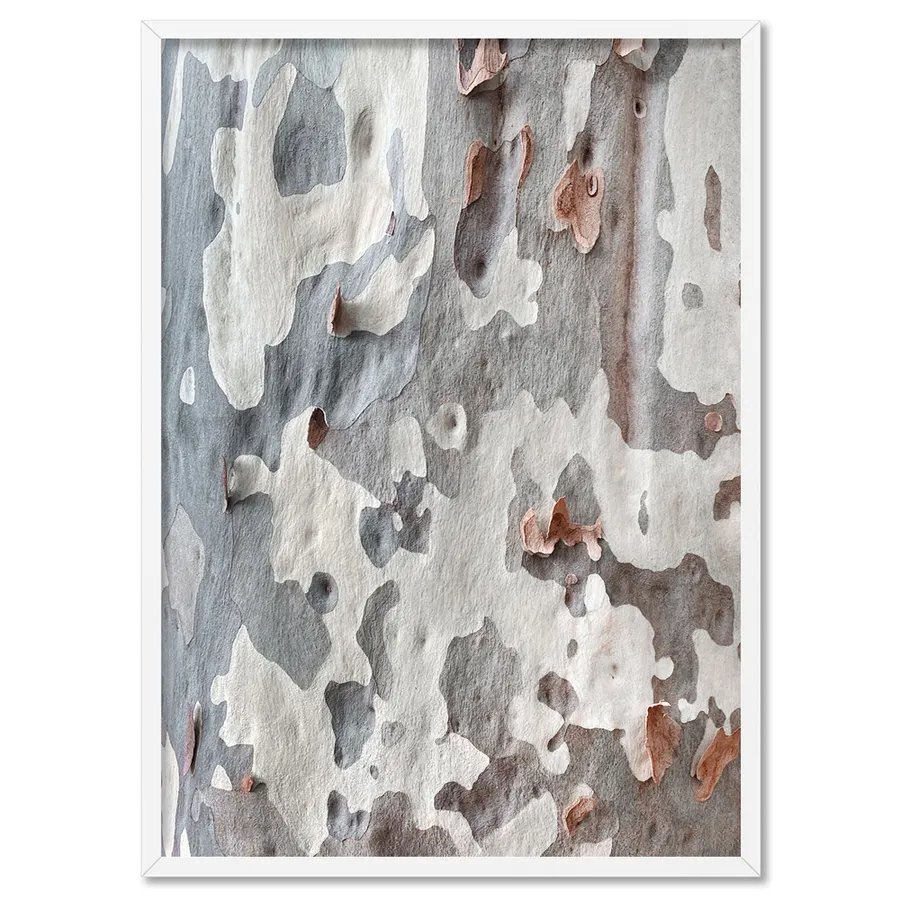 Gumtree | Blue Gum Bark II - Art Print