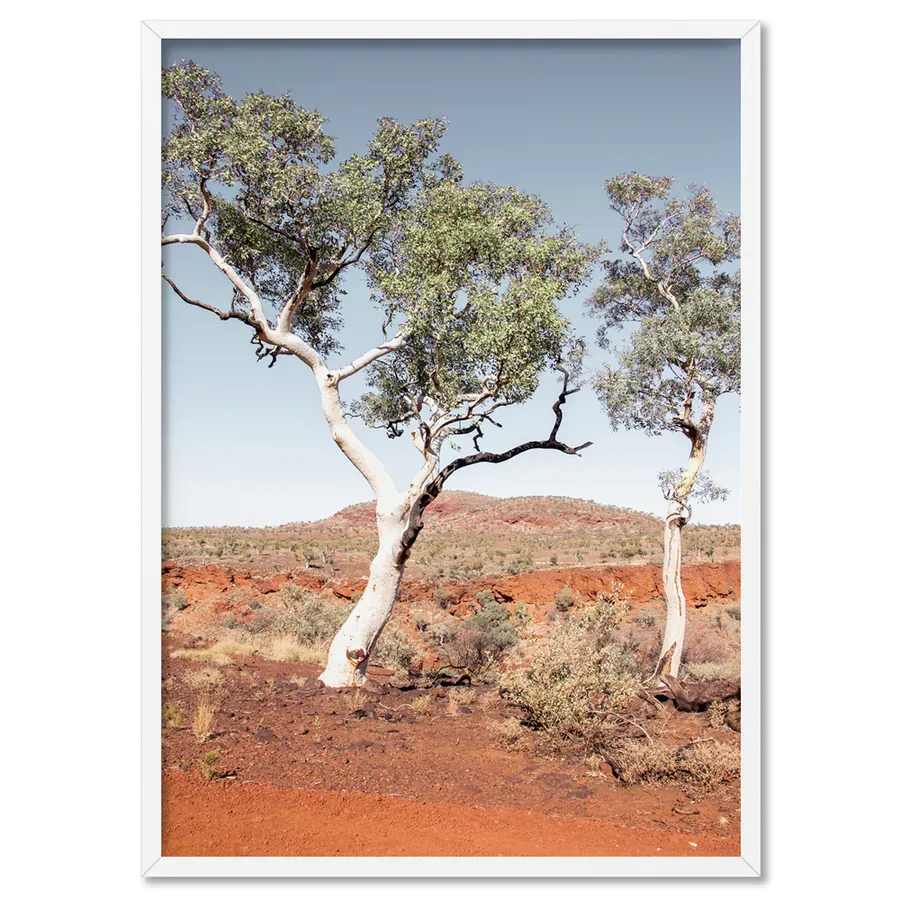 Gumtree Outback View III - Art Print