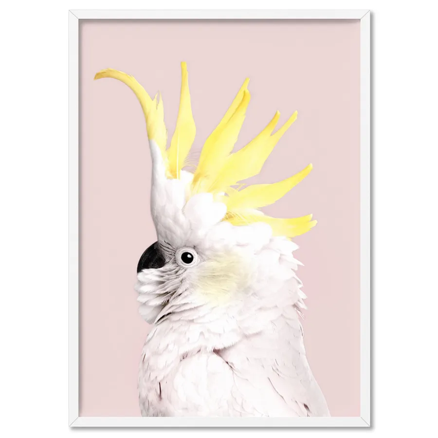 White Sulphur Crested Cockatoo on Blush - Art Print