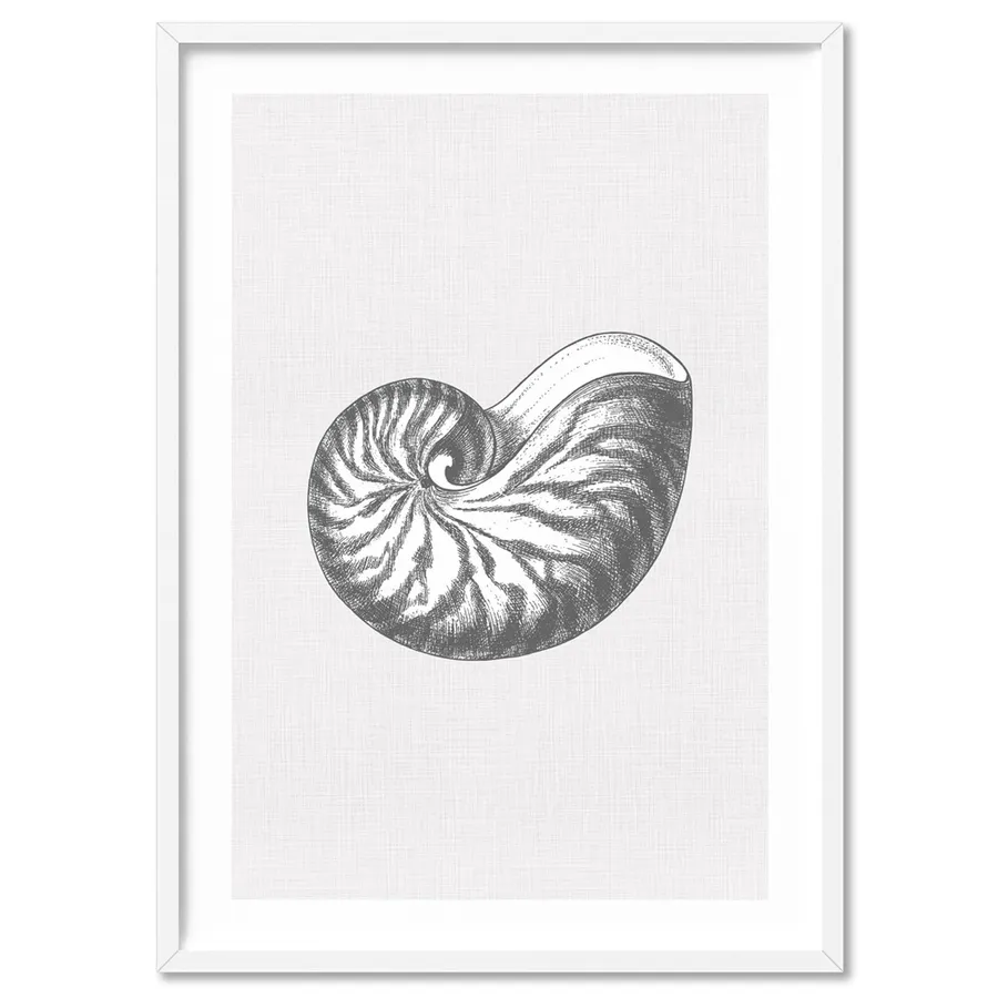 Sea Shells in Grey | Nautilus Shell - Art Print