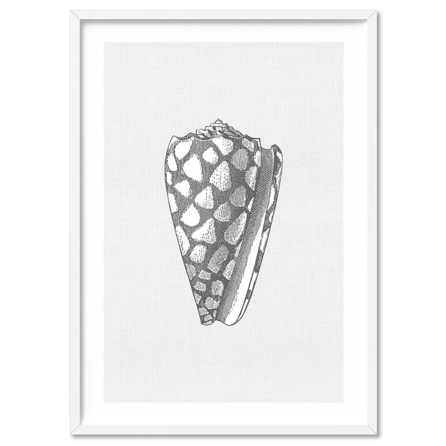 Sea Shells in Grey | Cone Shell - Art Print
