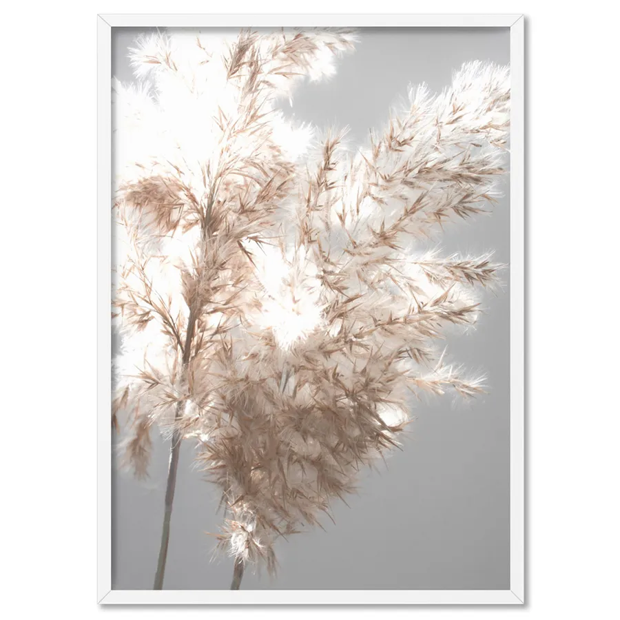 Pampas Grass Ethereal Light II - Art Print