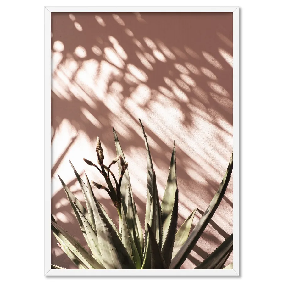 Aloe Succulent in Afternoon Light - Art Print