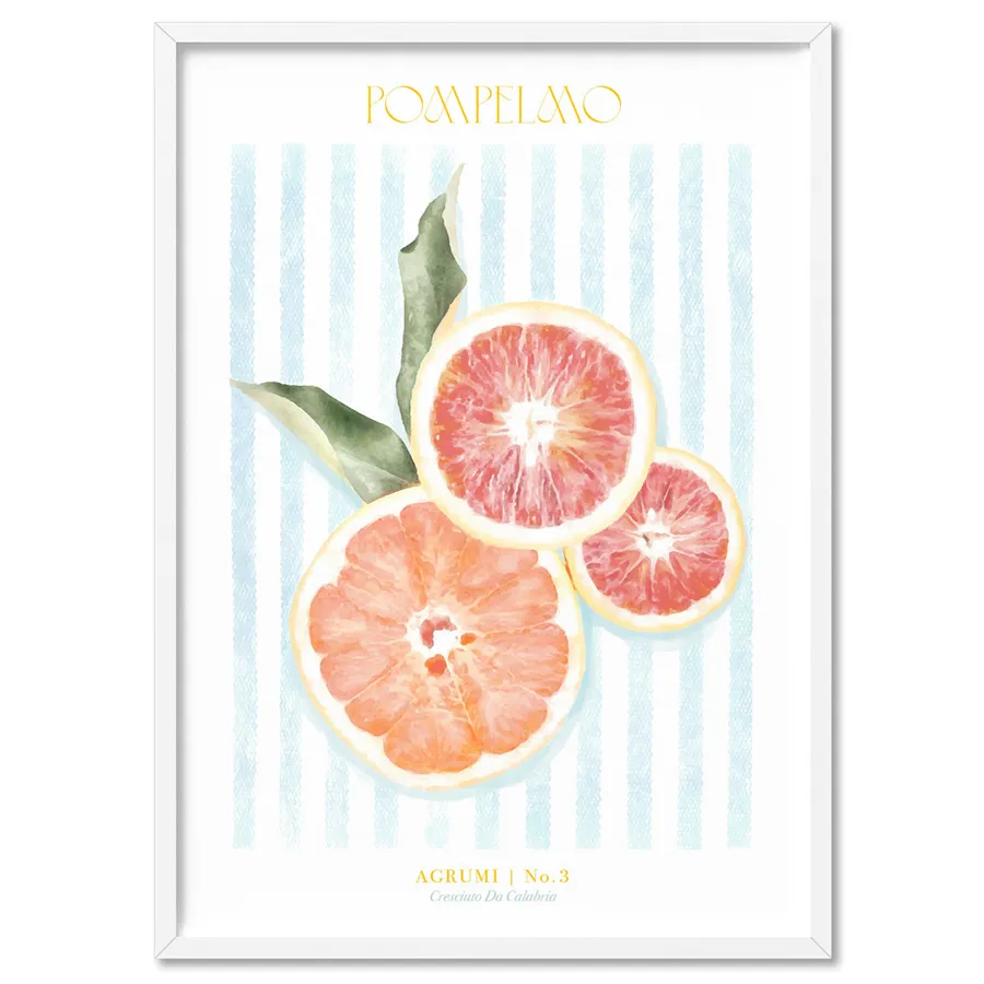 Agrumi No 3 | Grapefruit- Art Print by Vanessa