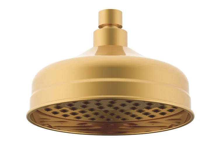 Eternal Shower Rose Brushed Brass