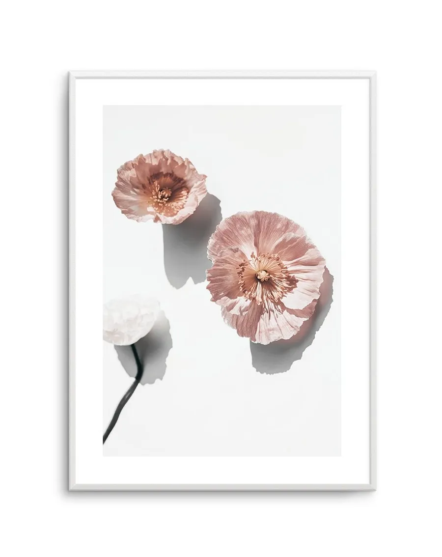 Abstract Poppies I