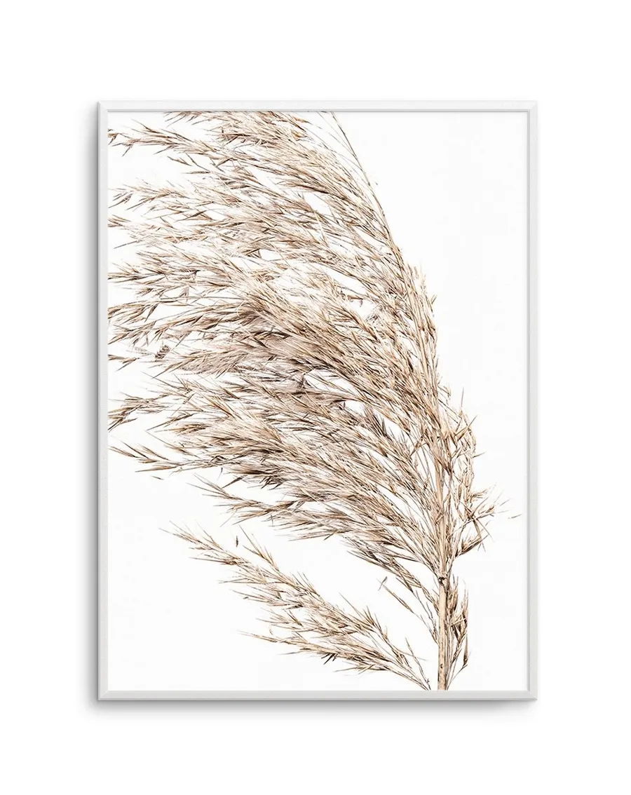 Seagrass II