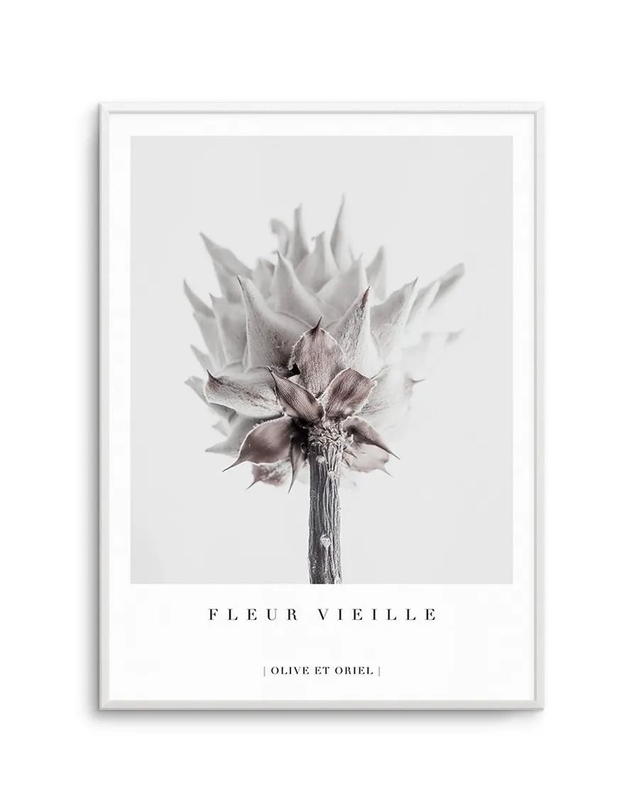 Fleur Vieille | King Protea
