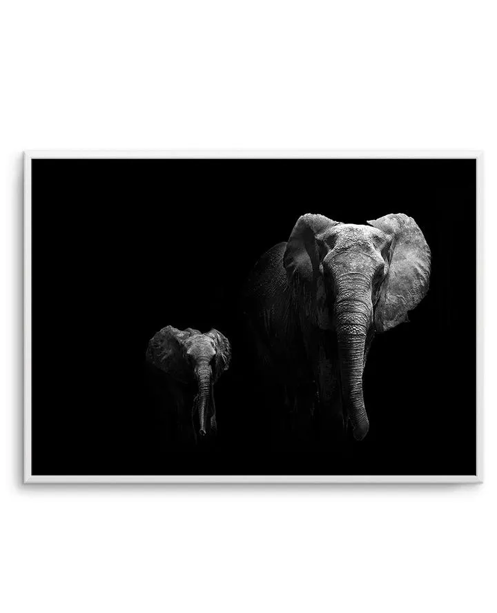 Elephant Par Deux | LS