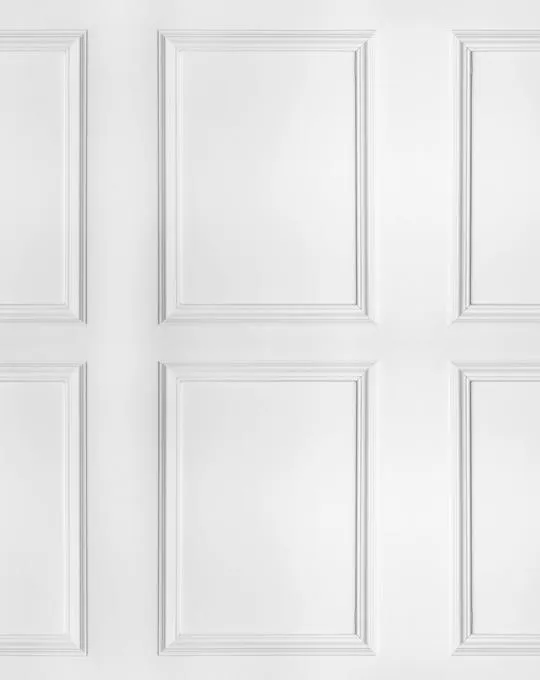 Wainscoting Parisian Panel Wallpaper