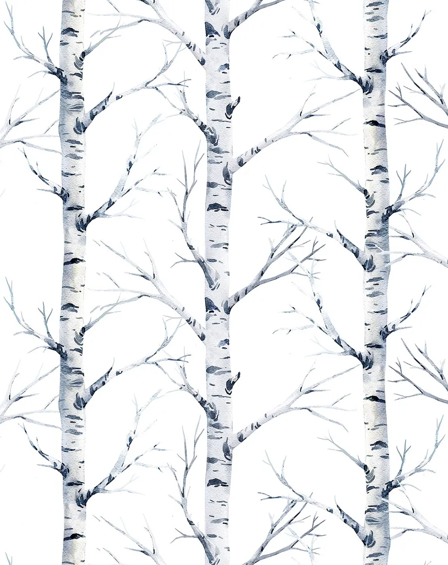 Birch Trees Forest Wallpaper