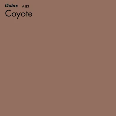 Coyote