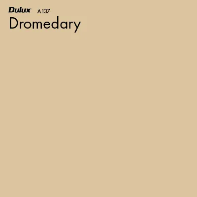 Dromedary