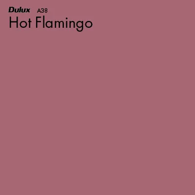 Hot Flamingo