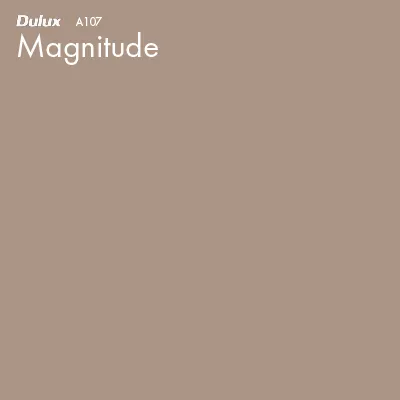 Magnitude