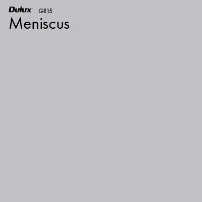 Meniscus