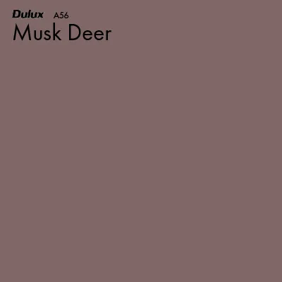 Musk Deer