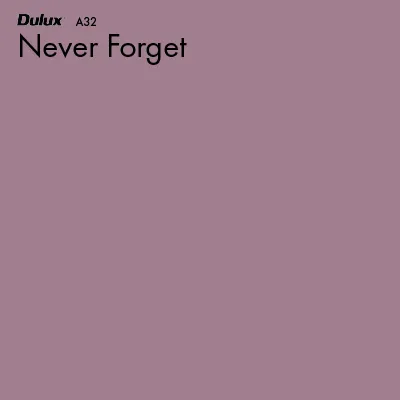 Never Forget