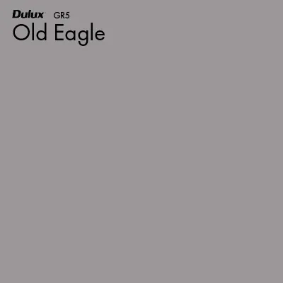 Old Eagle